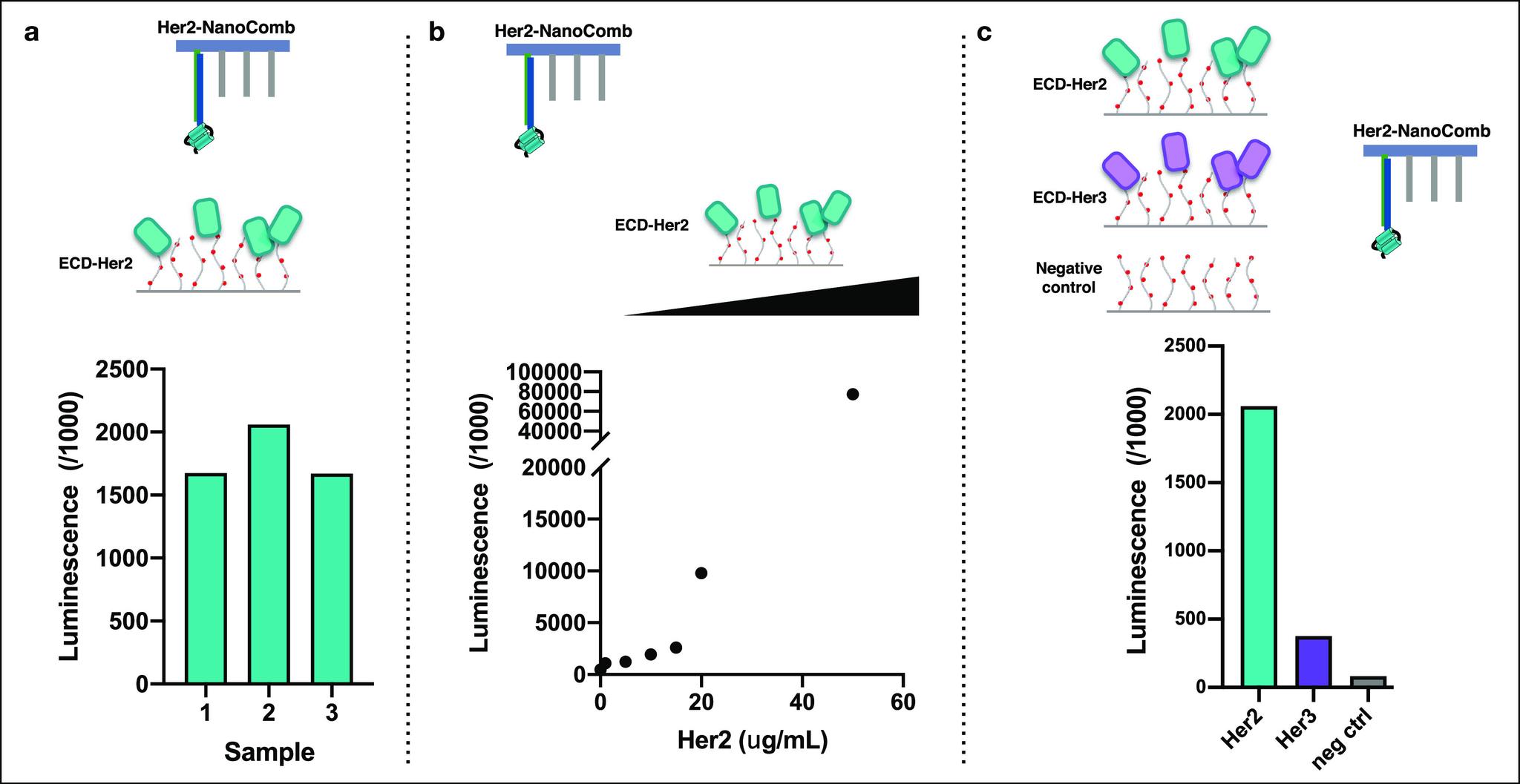 https://cdn.ncbi.nlm.nih.gov/pmc/blobs/e01d/9297292/c1ffe1f64e1c/mt2c00311_0003.jpg