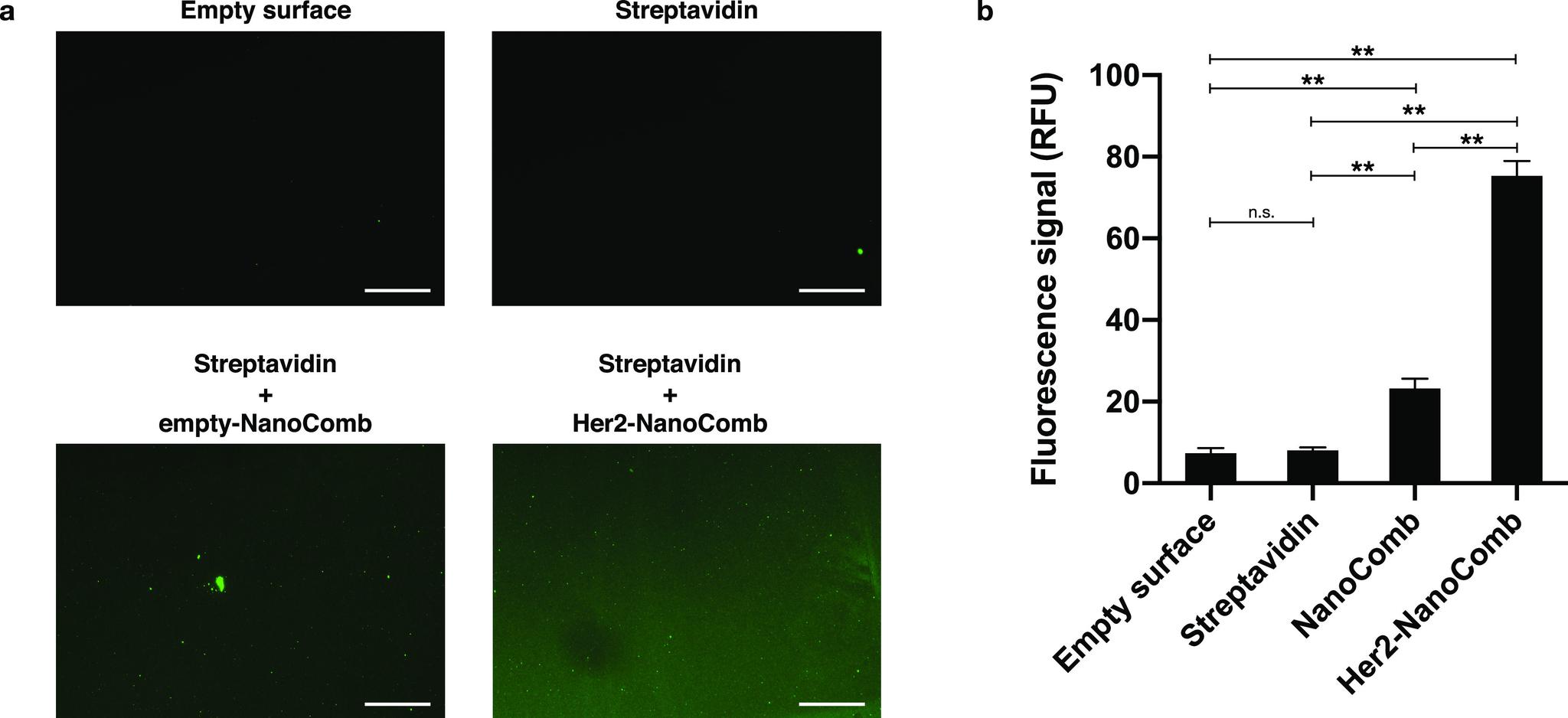 https://cdn.ncbi.nlm.nih.gov/pmc/blobs/e01d/9297292/d6e2f9b50448/mt2c00311_0007.jpg