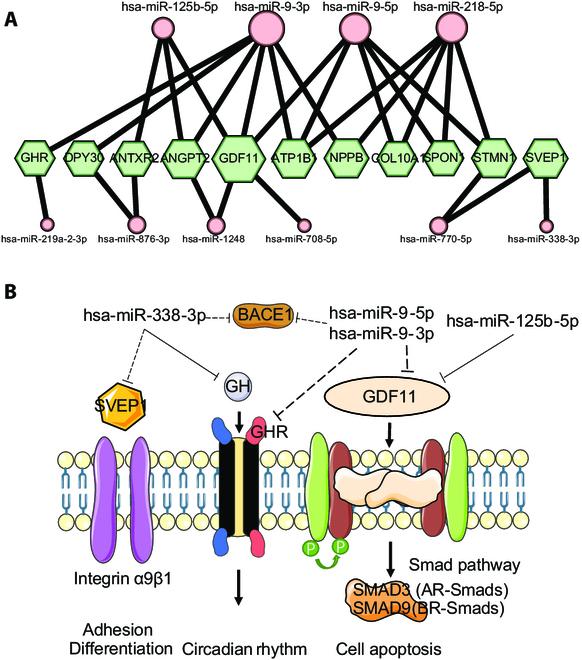 https://cdn.ncbi.nlm.nih.gov/pmc/blobs/e01e/10202186/d5c92c5ab10a/research.0114.fig.004.jpg