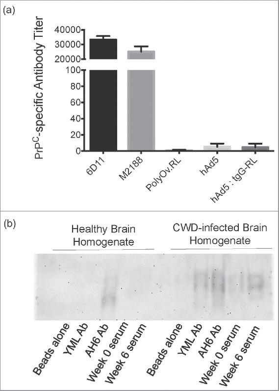 https://cdn.ncbi.nlm.nih.gov/pmc/blobs/e021/5639826/27670e587e44/kprn-11-05-1367083-g004.jpg