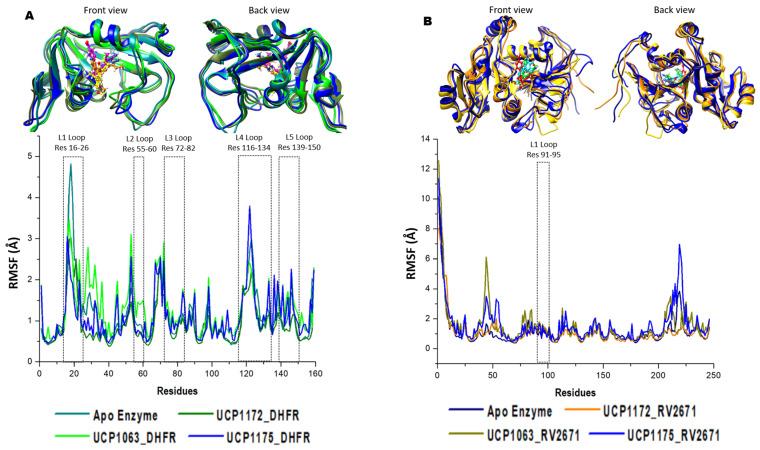 https://cdn.ncbi.nlm.nih.gov/pmc/blobs/e022/10530724/25c468128e65/ijms-24-14021-g003.jpg