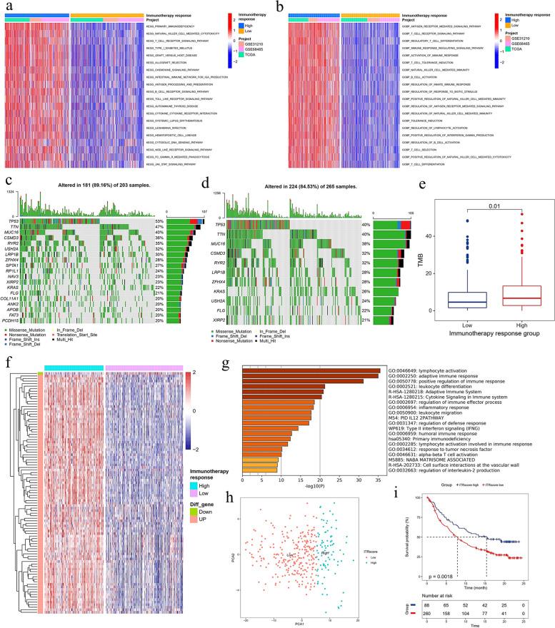 https://cdn.ncbi.nlm.nih.gov/pmc/blobs/e022/11225283/2b598b09c26d/12890_2024_3130_Fig5_HTML.jpg