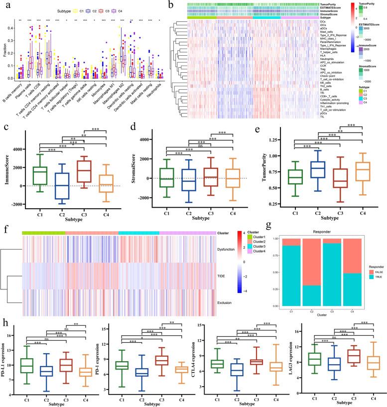 https://cdn.ncbi.nlm.nih.gov/pmc/blobs/e022/11225283/9075d55e7593/12890_2024_3130_Fig3_HTML.jpg