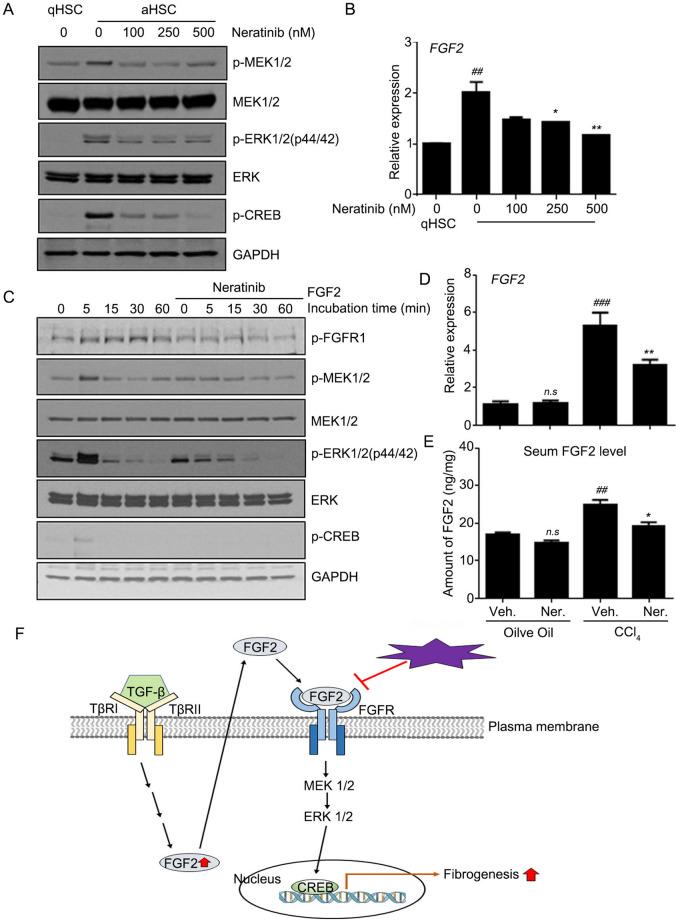 https://cdn.ncbi.nlm.nih.gov/pmc/blobs/e022/7479613/de01f16e40f3/41598_2020_71688_Fig5_HTML.jpg