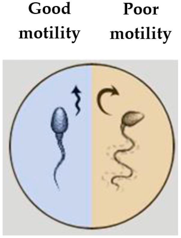 https://cdn.ncbi.nlm.nih.gov/pmc/blobs/e022/7795243/280acebd9dbf/sensors-21-00072-g001.jpg