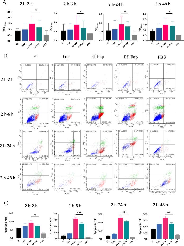 https://cdn.ncbi.nlm.nih.gov/pmc/blobs/e023/11102388/35cc9bc8e92e/253_2024_13172_Fig6_HTML.jpg