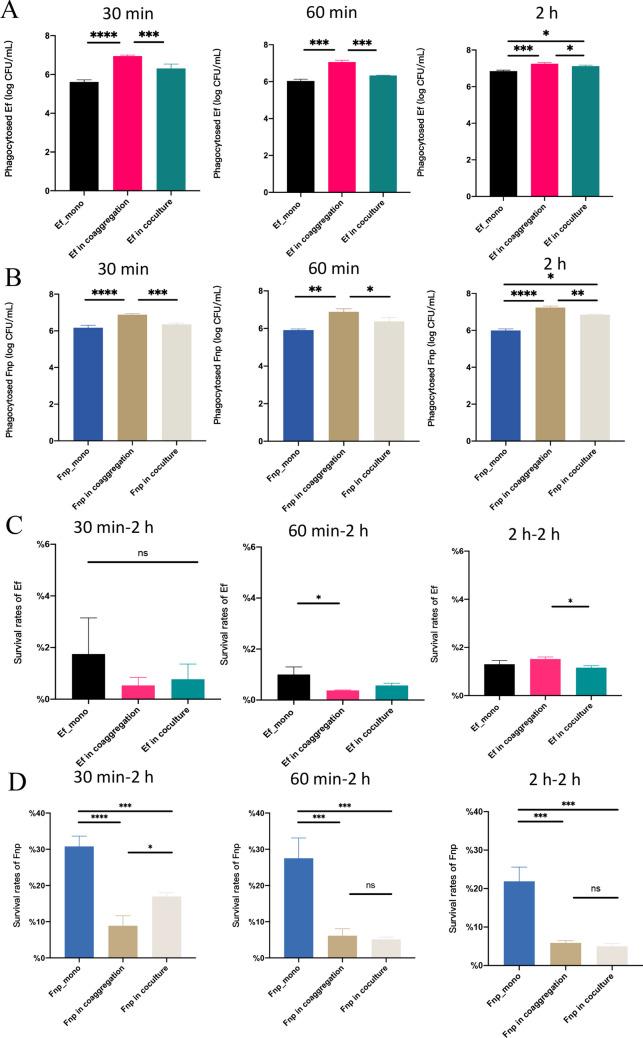 https://cdn.ncbi.nlm.nih.gov/pmc/blobs/e023/11102388/d532541f5470/253_2024_13172_Fig4_HTML.jpg