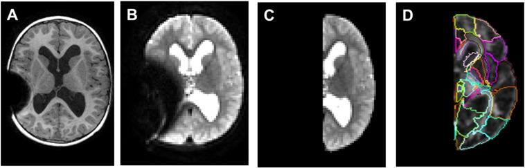 https://cdn.ncbi.nlm.nih.gov/pmc/blobs/e023/5048110/1ed1a51d488a/gr1.jpg