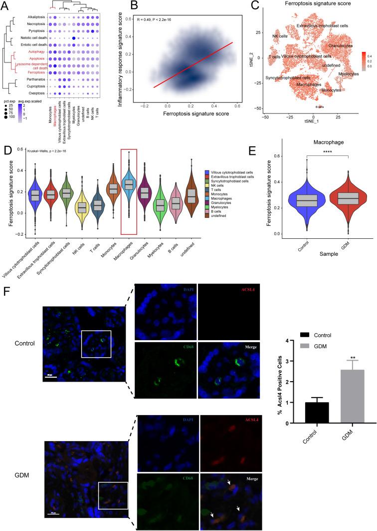 https://cdn.ncbi.nlm.nih.gov/pmc/blobs/e024/10725703/01d414bf494e/JIR-16-6087-g0010.jpg