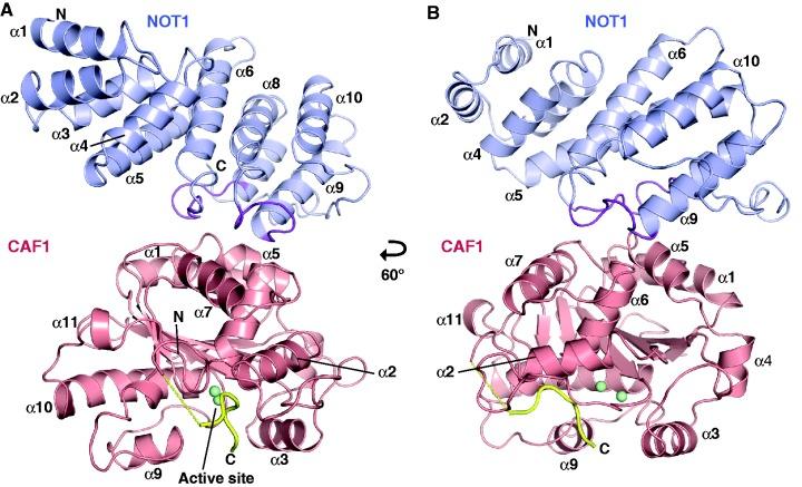https://cdn.ncbi.nlm.nih.gov/pmc/blobs/e024/3510486/585810b6fb9e/gks883f3p.jpg