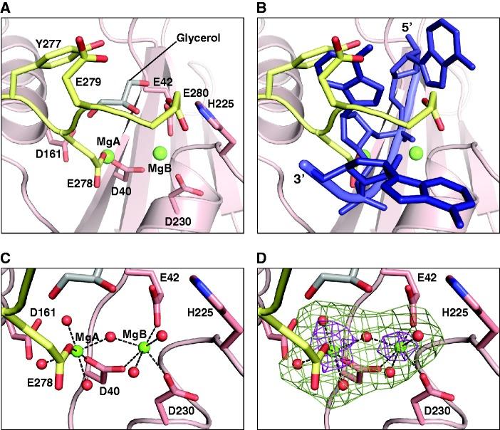 https://cdn.ncbi.nlm.nih.gov/pmc/blobs/e024/3510486/ba9fa687b095/gks883f6p.jpg