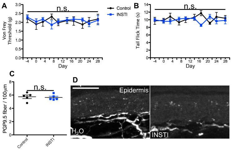 https://cdn.ncbi.nlm.nih.gov/pmc/blobs/e027/11354254/c196e053663e/ijms-25-09059-g003.jpg