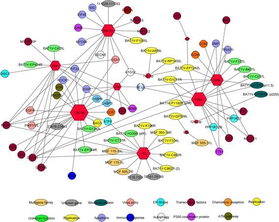 https://cdn.ncbi.nlm.nih.gov/pmc/blobs/e027/5646143/6569030f1c00/12985_2017_864_Fig3_HTML.jpg