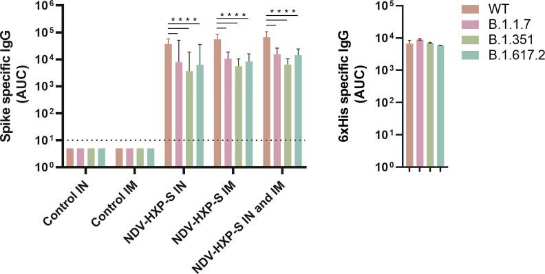 https://cdn.ncbi.nlm.nih.gov/pmc/blobs/e028/8637447/00e583edd844/fimmu-12-791764-g005.jpg