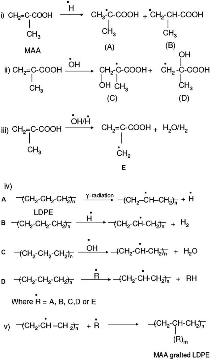 https://cdn.ncbi.nlm.nih.gov/pmc/blobs/e028/8964295/610cbab52f0b/fchem-10-837111-g003.jpg