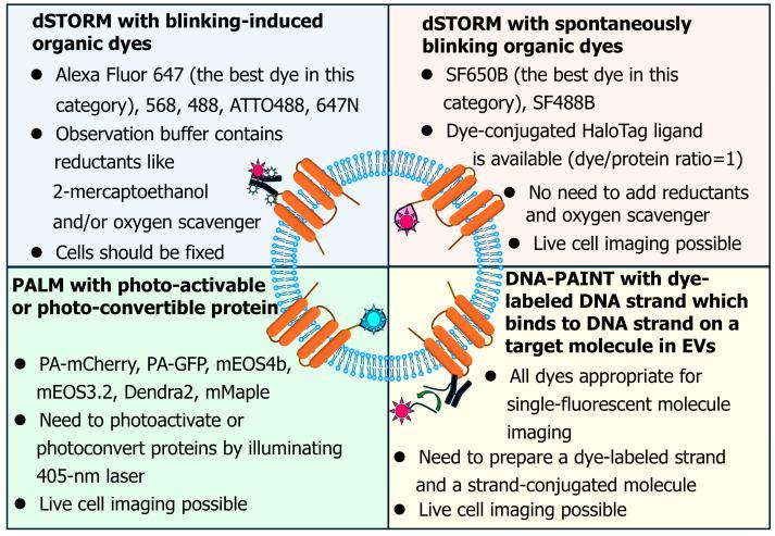 https://cdn.ncbi.nlm.nih.gov/pmc/blobs/e029/11728280/3b8b10b1efa2/molecules-29-05828-g002.jpg
