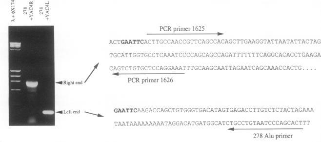 https://cdn.ncbi.nlm.nih.gov/pmc/blobs/e02c/52041/27c0f872aff2/pnas01064-0231-a.jpg