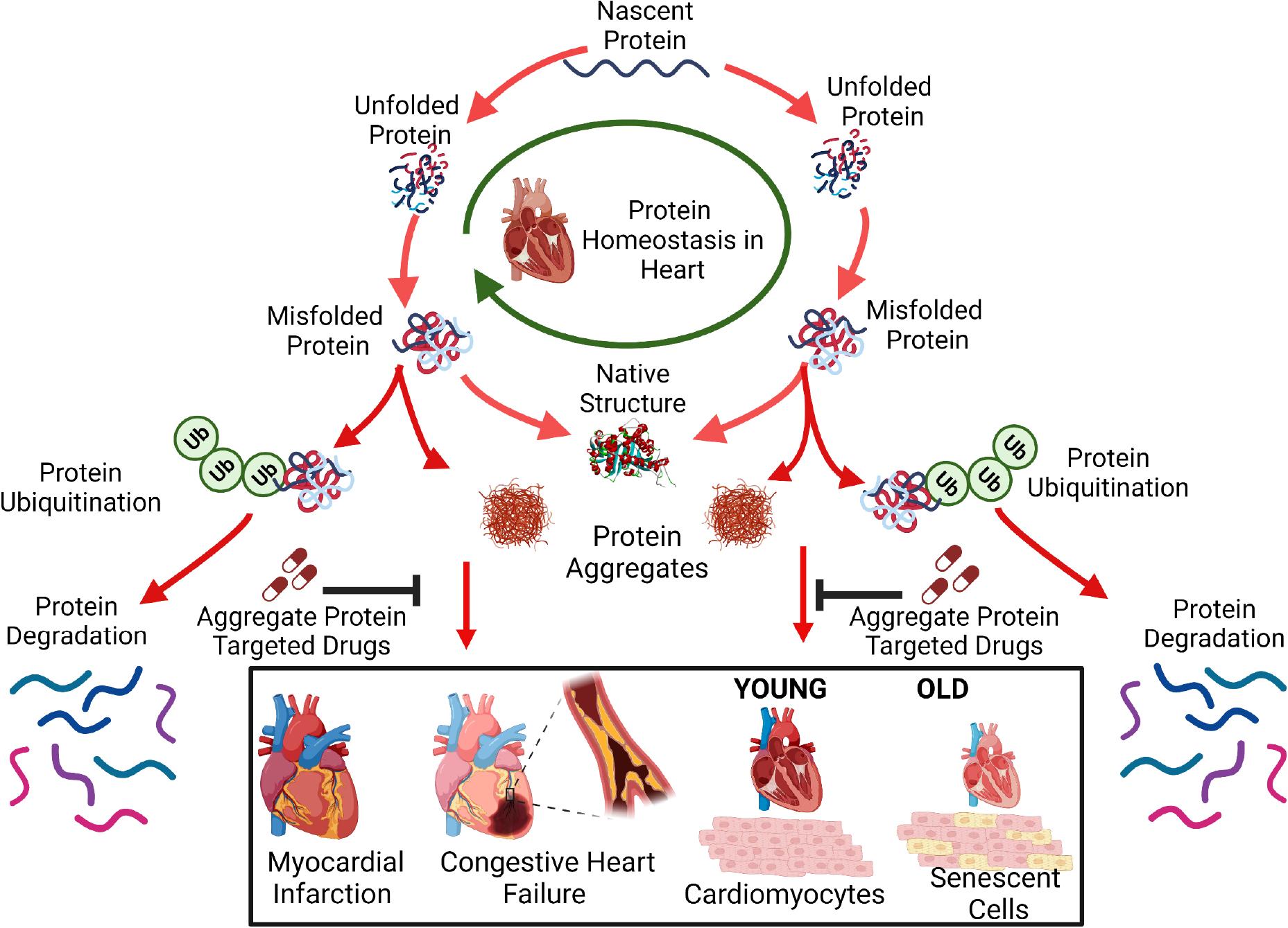 https://cdn.ncbi.nlm.nih.gov/pmc/blobs/e02f/10121184/b147990fc26c/nihms-1881766-f0003.jpg