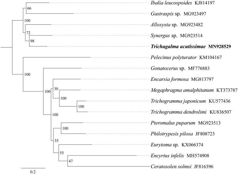 https://cdn.ncbi.nlm.nih.gov/pmc/blobs/e02f/7748680/ee8d7adb48e0/TMDN_A_1721366_F0001_B.jpg