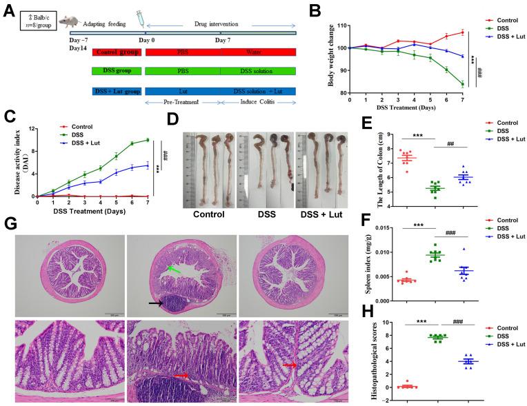 https://cdn.ncbi.nlm.nih.gov/pmc/blobs/e031/11768085/937bacb73976/nutrients-17-00203-g001.jpg