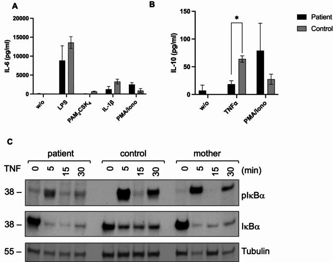 https://cdn.ncbi.nlm.nih.gov/pmc/blobs/e034/11393190/1bf8bdad88ae/10875_2024_1799_Fig4_HTML.jpg