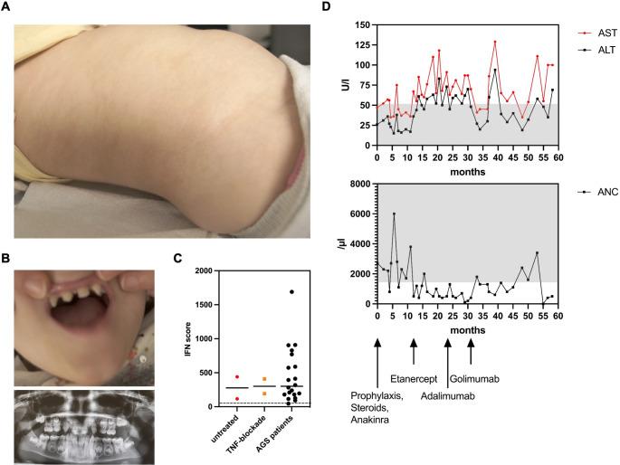 https://cdn.ncbi.nlm.nih.gov/pmc/blobs/e034/11393190/79e037c0ee74/10875_2024_1799_Fig1_HTML.jpg