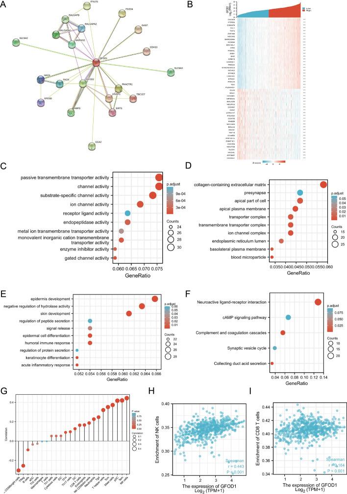 https://cdn.ncbi.nlm.nih.gov/pmc/blobs/e039/12214071/d06f2c18b4a3/12672_2025_3049_Fig6_HTML.jpg