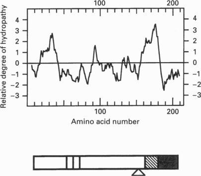 https://cdn.ncbi.nlm.nih.gov/pmc/blobs/e03b/1135801/2b9f04f86228/biochemj00060-0076-a.jpg