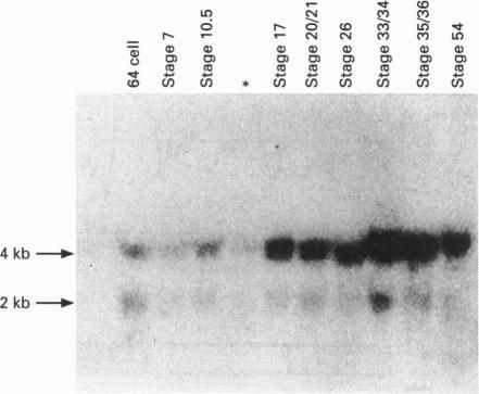 https://cdn.ncbi.nlm.nih.gov/pmc/blobs/e03b/1135801/9f61501724cc/biochemj00060-0077-c.jpg