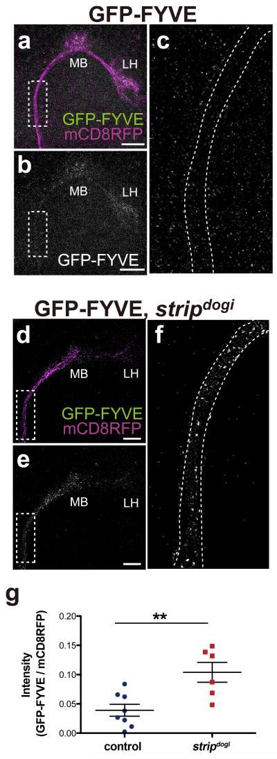 https://cdn.ncbi.nlm.nih.gov/pmc/blobs/e03b/4197811/81e6148f3eee/nihms-626466-f0004.jpg