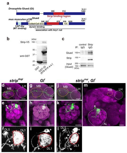 https://cdn.ncbi.nlm.nih.gov/pmc/blobs/e03b/4197811/a2a7accae046/nihms-626466-f0002.jpg
