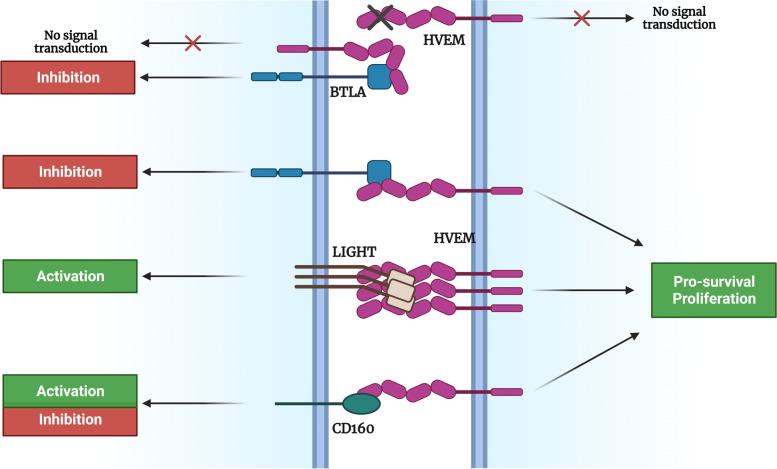 https://cdn.ncbi.nlm.nih.gov/pmc/blobs/e03d/10466776/150e07dbb577/12943_2023_1845_Fig2_HTML.jpg