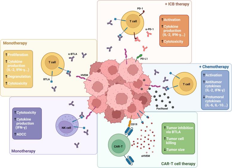https://cdn.ncbi.nlm.nih.gov/pmc/blobs/e03d/10466776/534538cd33fa/12943_2023_1845_Fig4_HTML.jpg