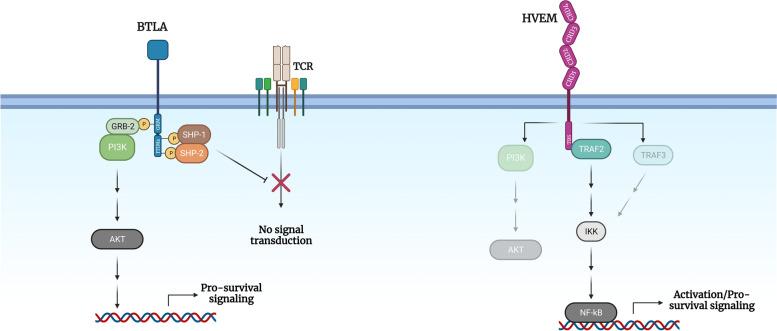 https://cdn.ncbi.nlm.nih.gov/pmc/blobs/e03d/10466776/e4ff9787a376/12943_2023_1845_Fig1_HTML.jpg