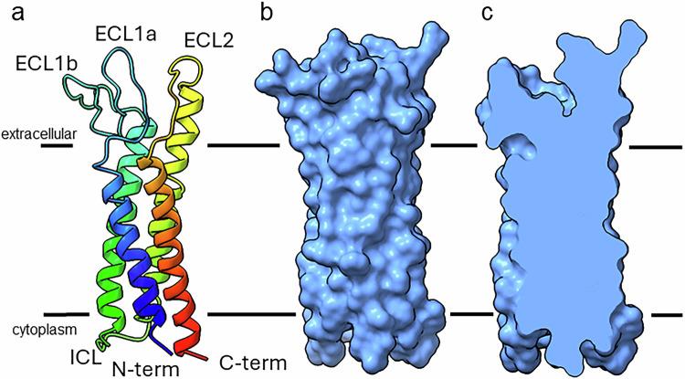 https://cdn.ncbi.nlm.nih.gov/pmc/blobs/e03e/11947226/99ee4fc0cc5f/41467_2025_57903_Fig2_HTML.jpg