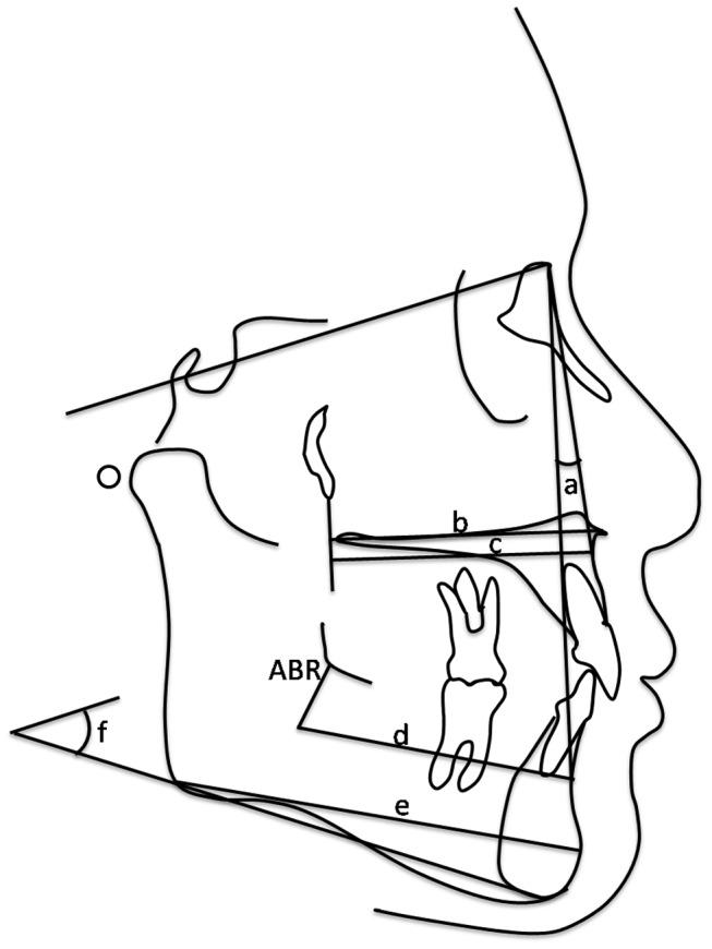 https://cdn.ncbi.nlm.nih.gov/pmc/blobs/e03f/4072760/9d09987abffb/pone.0101157.g001.jpg