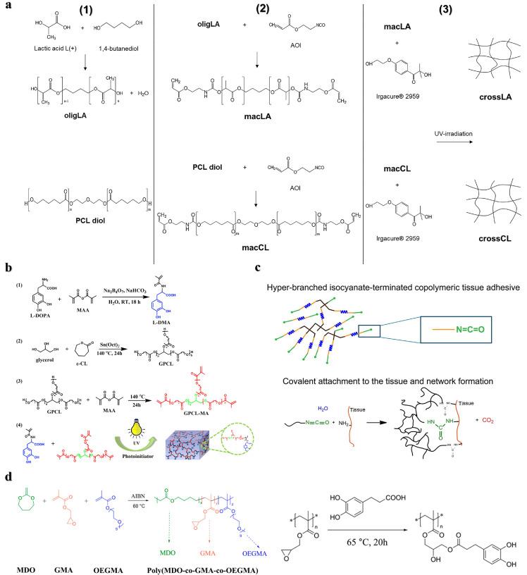 https://cdn.ncbi.nlm.nih.gov/pmc/blobs/e040/11997572/cc4fa06bd2d1/gr8.jpg