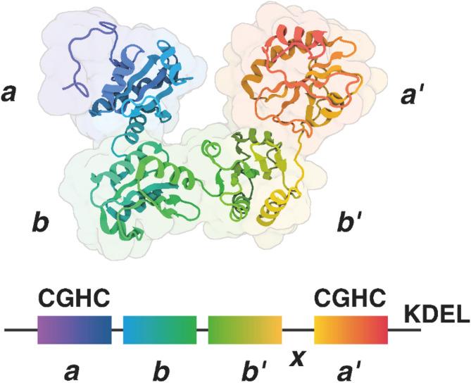 https://cdn.ncbi.nlm.nih.gov/pmc/blobs/e042/12302464/876153f8a1da/12959_2025_765_Fig1_HTML.jpg