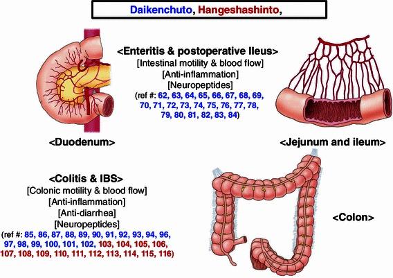 https://cdn.ncbi.nlm.nih.gov/pmc/blobs/e043/3698434/4bb85c3200f7/535_2013_788_Fig2_HTML.jpg
