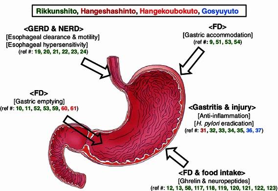 https://cdn.ncbi.nlm.nih.gov/pmc/blobs/e043/3698434/e2e45722c3e6/535_2013_788_Fig1_HTML.jpg