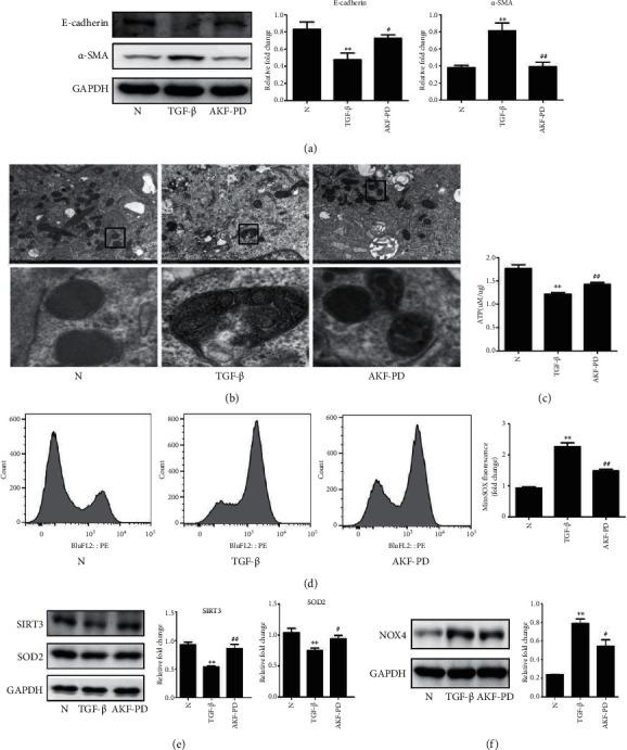 https://cdn.ncbi.nlm.nih.gov/pmc/blobs/e043/8958071/90ec95cc45ee/OMCL2022-2453617.008.jpg