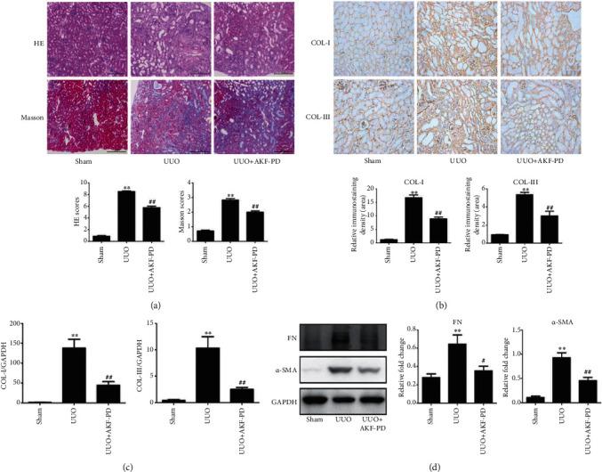 https://cdn.ncbi.nlm.nih.gov/pmc/blobs/e043/8958071/ca42ed00c9c2/OMCL2022-2453617.001.jpg
