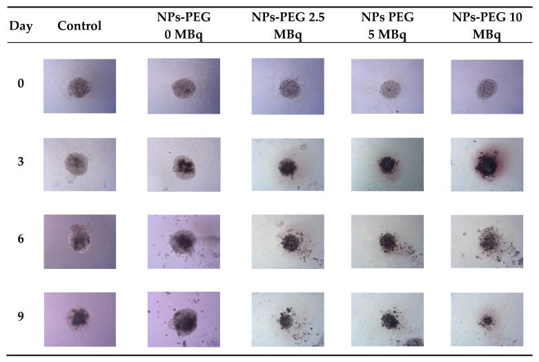 https://cdn.ncbi.nlm.nih.gov/pmc/blobs/e045/9415738/b704f901c7d2/pharmaceutics-14-01680-g008.jpg