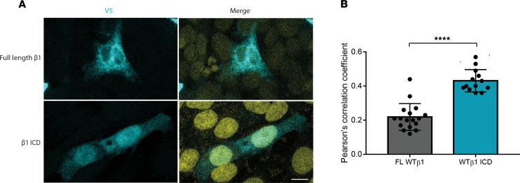 https://cdn.ncbi.nlm.nih.gov/pmc/blobs/e046/7934843/21eea0d20aa6/jciinsight-6-141776-g237.jpg