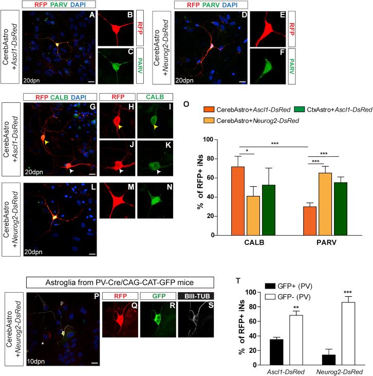 https://cdn.ncbi.nlm.nih.gov/pmc/blobs/e048/5511102/300810f96697/gr4.jpg