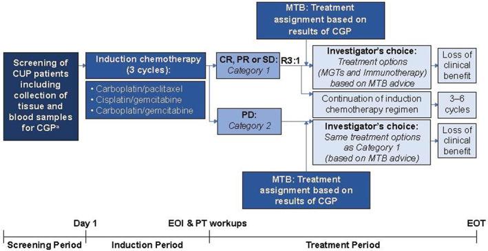 https://cdn.ncbi.nlm.nih.gov/pmc/blobs/e048/7930409/9c07d74885c0/ONCO-26-e394-g001.jpg