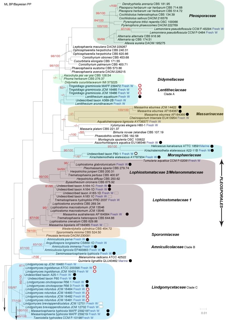 https://cdn.ncbi.nlm.nih.gov/pmc/blobs/e04b/2816971/4a1680bbce72/145fig2A.jpg