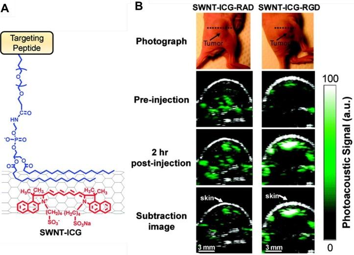 https://cdn.ncbi.nlm.nih.gov/pmc/blobs/e04b/5835932/7b7c4834dc7f/thnov08p1227g003.jpg