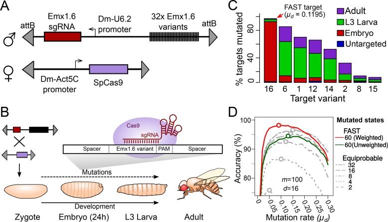 https://cdn.ncbi.nlm.nih.gov/pmc/blobs/e04b/6349403/7a8b7cf6f655/elife-40292-fig3.jpg