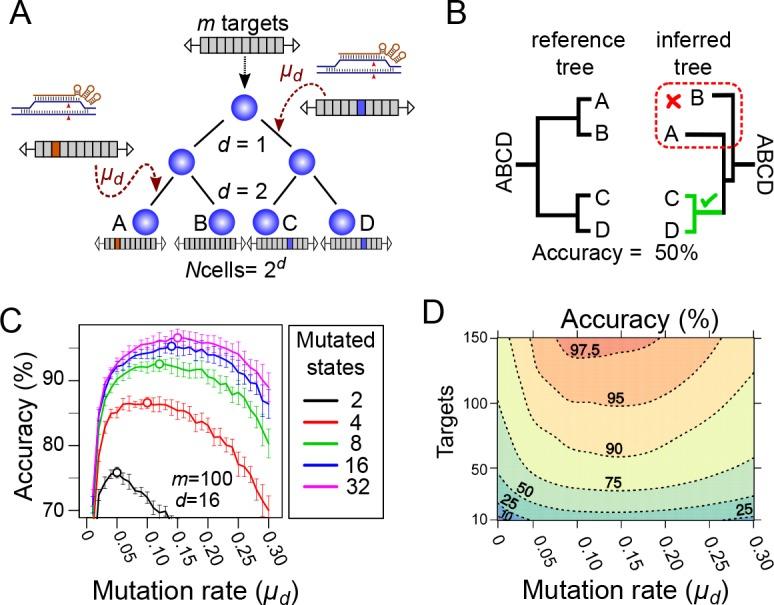 https://cdn.ncbi.nlm.nih.gov/pmc/blobs/e04b/6349403/7babc7da1288/elife-40292-fig2.jpg